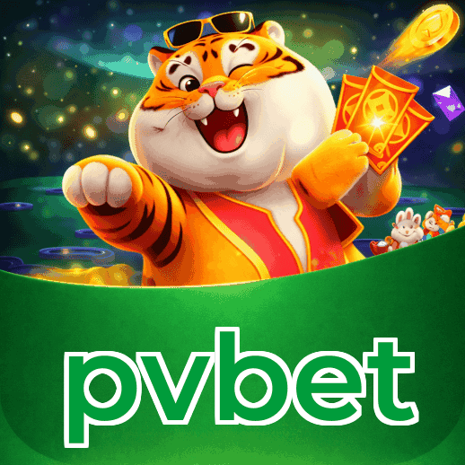 Métodos de pagamento aceitos na pvbet